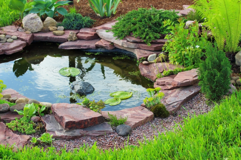 Pond-and-Waterfall-Installation-Renton-WA