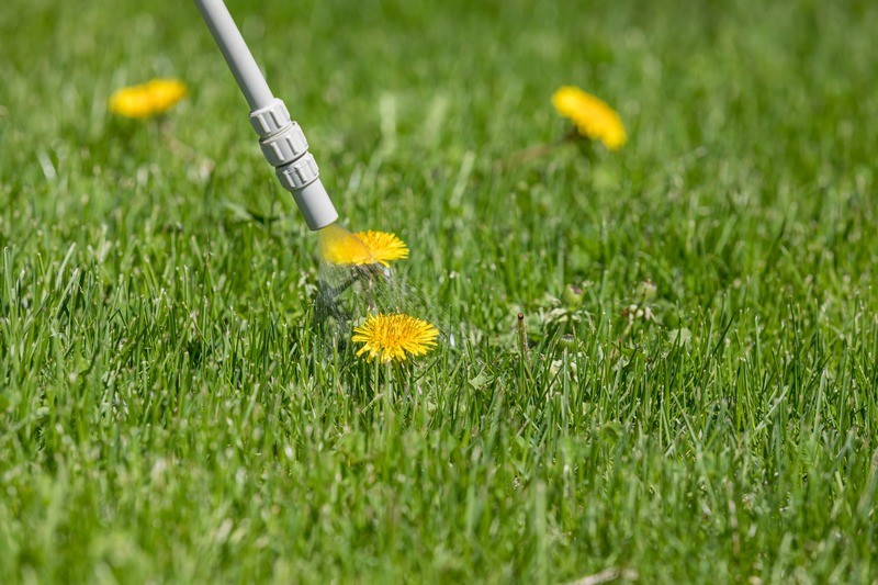 Lawn-Treatment-Service-Buckley-WA