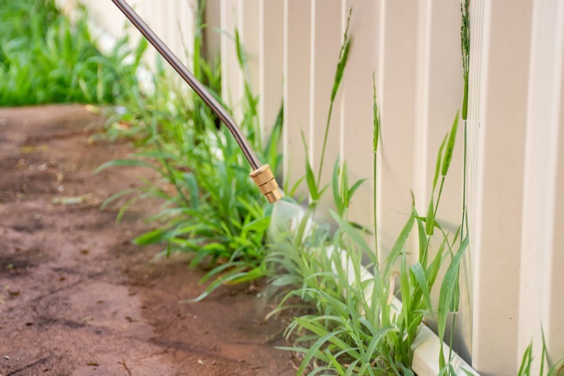 Weed-Control-Service-Buckley-WA