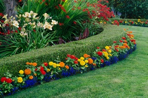 Experienced Auburn landscape designer in WA near 98002