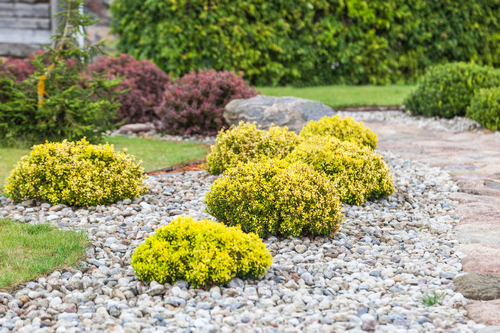 Exceptional Medina commercial landscaping in WA near 98039