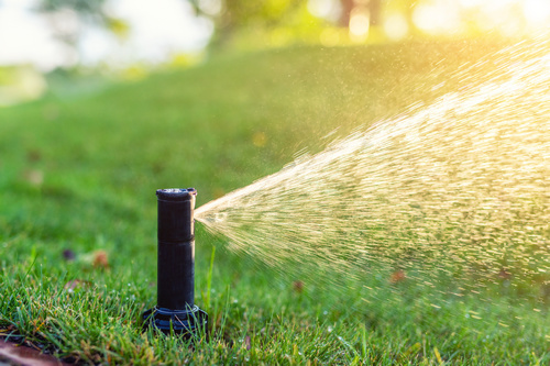 Efficient Gig Harbor lawn sprinklers in WA near 98335