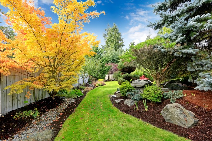 Landscape-Designer-Renton-WA