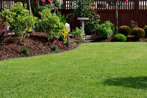 Professional North Tacoma hydroseeding in WA near 98403