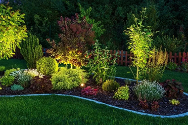 Bellevue backyard lighting contractors in WA near 98007