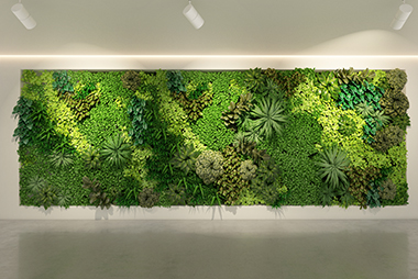 Let us build your Bellevue living wall in WA near 98007