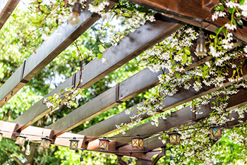 Bellevue outdoor pergola contractors in WA near 98007