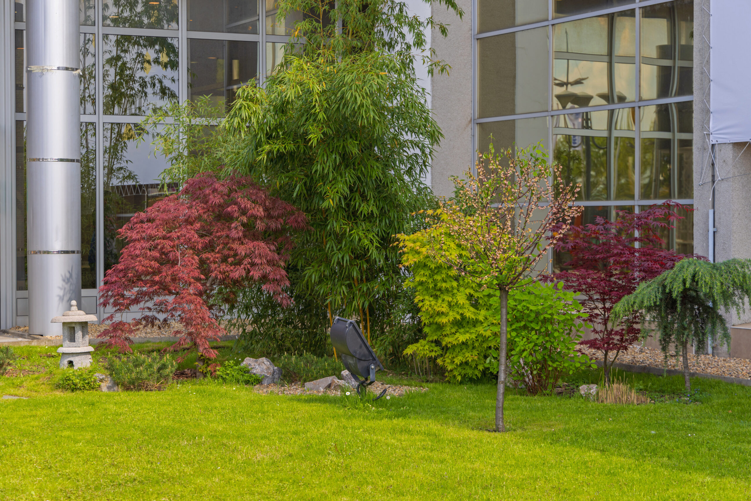 Commercial Landscapers-North Bend-WA