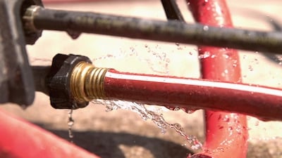 Irrigation Line Repair Renton