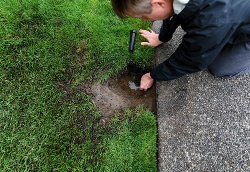 Irrigation System Installation Renton