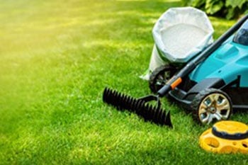 Lawn Care Renton