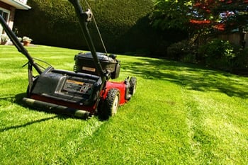 Lawn Maintenance Renton