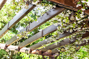 Pergola Design Renton