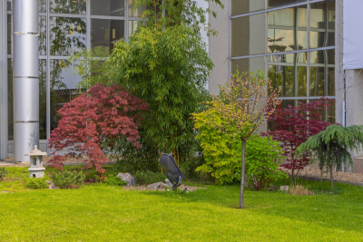 Commercial Landscapers-Covington-WA