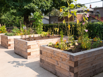 Garden Beds-Enumclaw-WA